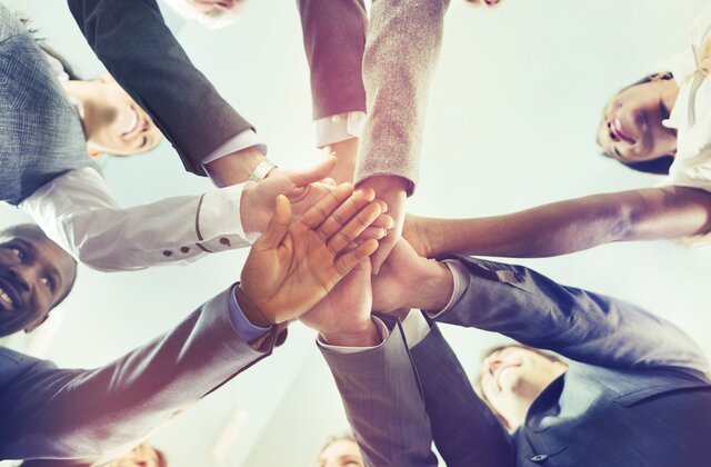 Strategy & Collaboration